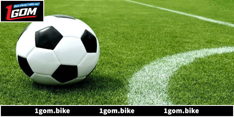 Lý do nên đăng ký 1Gom để trải nghiệm cá cược uy tín